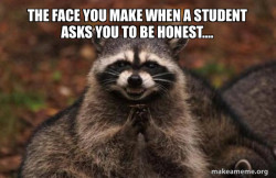 Evil Plotting Raccoon