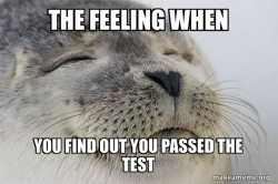 Satisfied Seal