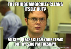 Schrute Facts (Dwight Schrute from The Office)