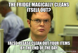 Schrute Facts (Dwight Schrute from The Office)