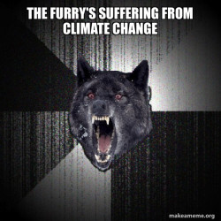 Insanity Wolf