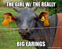 Hairless Cow