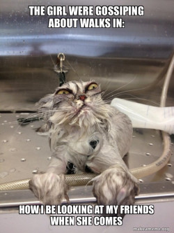 Cat Bath Returns