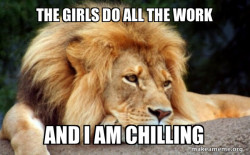 Confession Lion