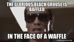 The Terminator