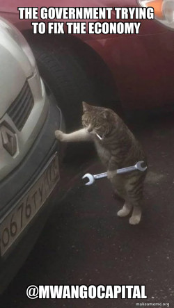 Mechanic Cat