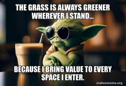 Green grass 
