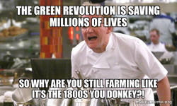 Gordon Ramsay Hell's Kitchen