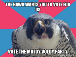 Millennial Falcon