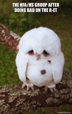 Sad Owl