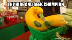 Gourd Advice Mallard