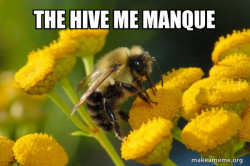 Good Guy Bee