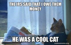 Sophisticated Cat