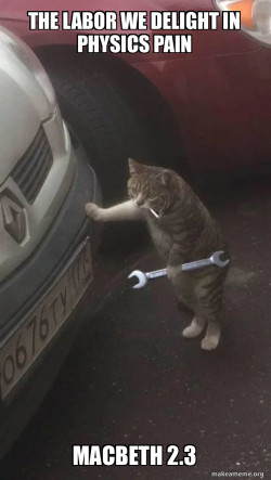 Mechanic Cat