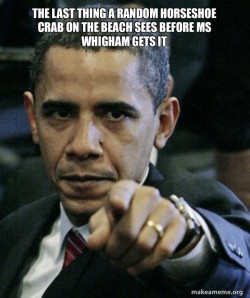 Angry Obama