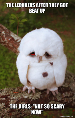 Sad Owl