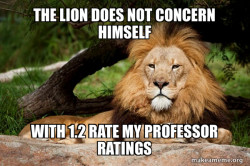 Contemplative Lion