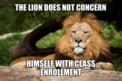 Contemplative Lion