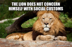 Contemplative Lion