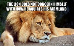 Confession Lion