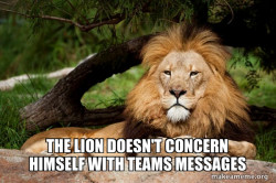 Contemplative Lion