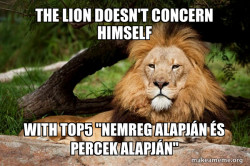 Contemplative Lion