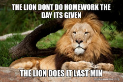 Contemplative Lion