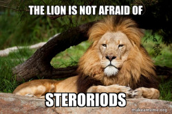 Contemplative Lion