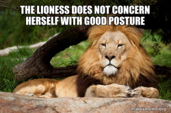 Contemplative Lion