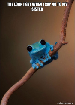 Small Fact Frog