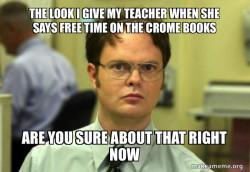 Schrute Facts (Dwight Schrute from The Office)