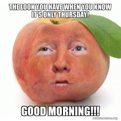 Impeached Donald Trump