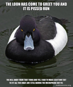 Revenge Duck ( Angry Advice Duck )