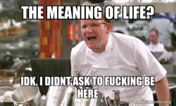 Gordon Ramsay Hell's Kitchen