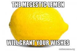 The Megestic Lemon