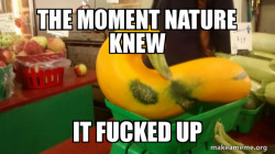 Gourd Advice Mallard