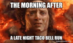 Frodo it's over it's done