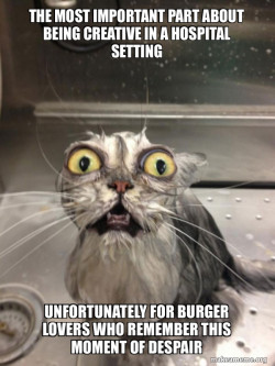 Cat bathroom and bathroom sink for me 