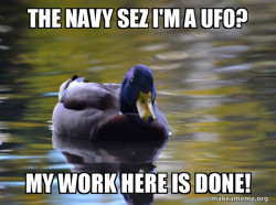 Zen Advice Mallard