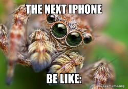 Hipster Spider