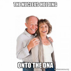 Baby Boomers