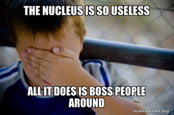 Confession Kid