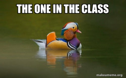 Fashionable Advice Mallard