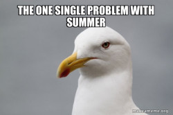 Stuff That Didn't Happen Seagull