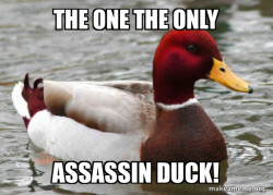 Malicious Advice Mallard