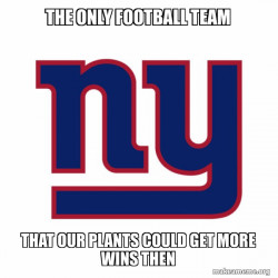 New York Giants