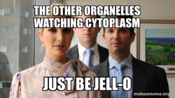 The Trump Kids Eric, Donald Jr and Ivanka