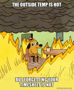 This Is Fine