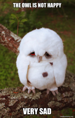 Sad Owl