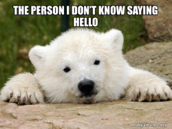 Popular Opinion Bear